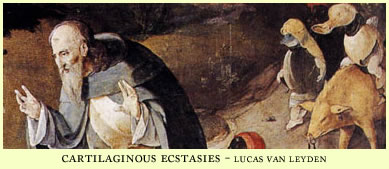 cartilaginous ecstasies